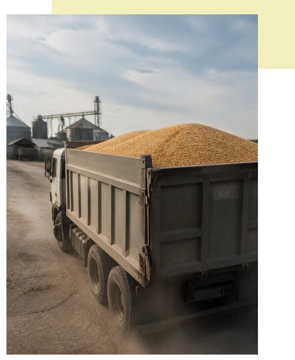 Перевозка сельхозпродукции навалом в Павловского Посад по цене от 3049 р. | Агросервис-Пвл